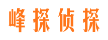 沙湾区找人公司